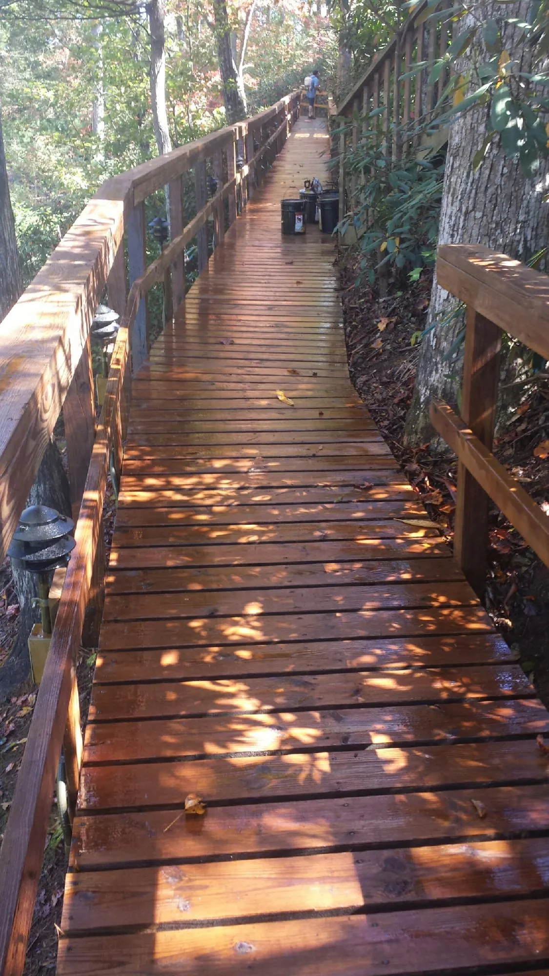 Freshly stained wood walkway winding through the woods in West Yellowstone