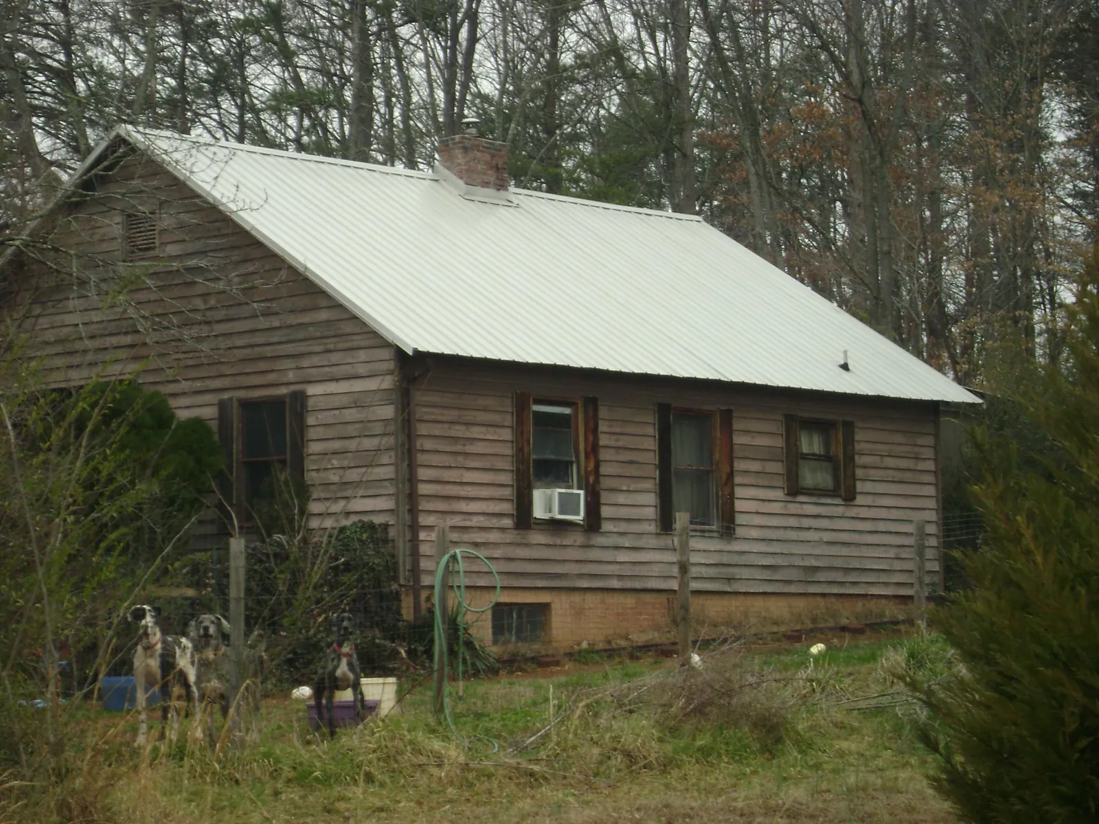 White metal roof on an old wood sided farmhouse, from a Asphalt Shingle Roof Repair job in West Yellowstone